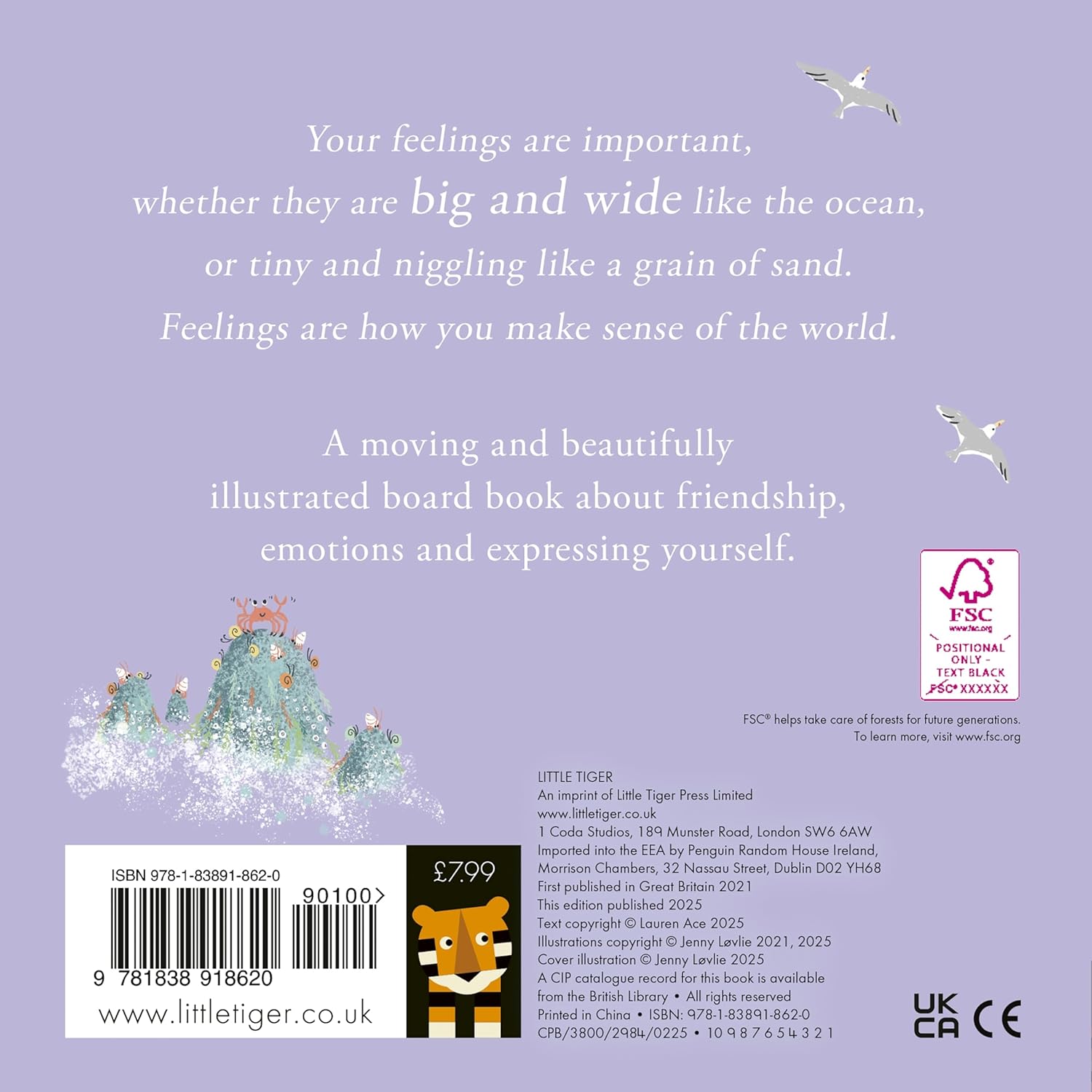 The Boys Book of Feelings