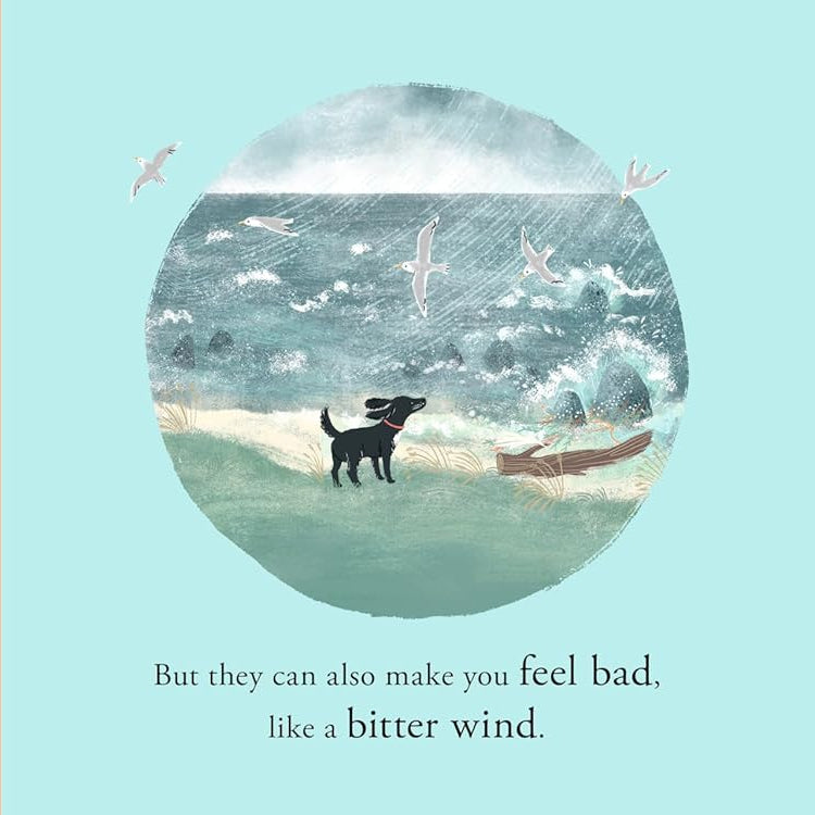 The Boys Book of Feelings